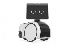 过日常互动（抚摸、语音指令、玩耍）自从构成